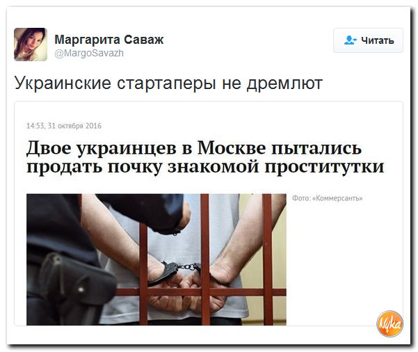 "Мыздобулы" в картинках. Смешных и не очень... 1-11-2016 "Мыздобулы" в картинках. Смешных и не очень... 1-11-2016