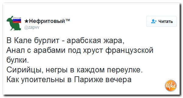"Мыздобулы" в картинках. Смешных и не очень... 1-11-2016 "Мыздобулы" в картинках. Смешных и не очень... 1-11-2016