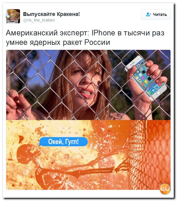 "Мыздобулы" в картинках. Смешных и не очень... 2-11-2016 "Мыздобулы" в картинках. Смешных и не очень... 2-11-2016