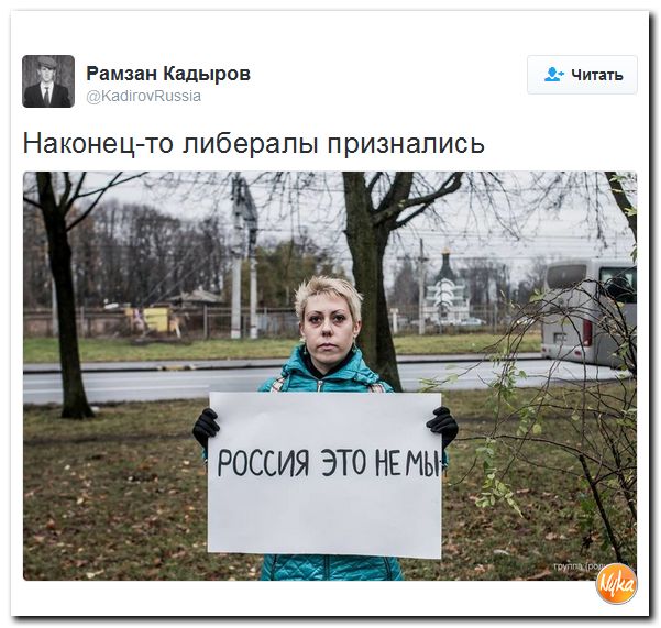 "Мыздобулы" в картинках. Смешных и не очень... 2-11-2016 "Мыздобулы" в картинках. Смешных и не очень... 2-11-2016