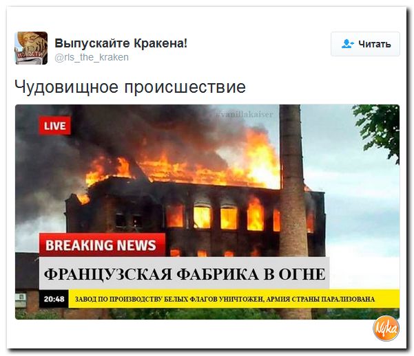 "Мыздобулы" в картинках. Смешных и не очень... 2-11-2016 "Мыздобулы" в картинках. Смешных и не очень... 2-11-2016