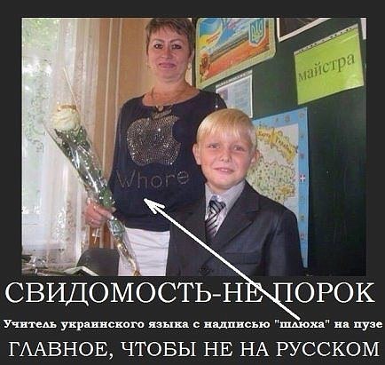 "Мыздобулы" в картинках. Смешных и не очень... 2-11-2016 "Мыздобулы" в картинках. Смешных и не очень... 2-11-2016