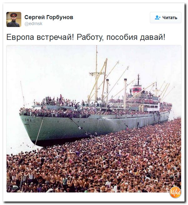 "Мыздобулы" в картинках. Смешных и не очень... 2-11-2016 "Мыздобулы" в картинках. Смешных и не очень... 2-11-2016