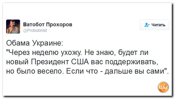"Мыздобулы" в картинках. Смешных и не очень... 2-11-2016 "Мыздобулы" в картинках. Смешных и не очень... 2-11-2016
