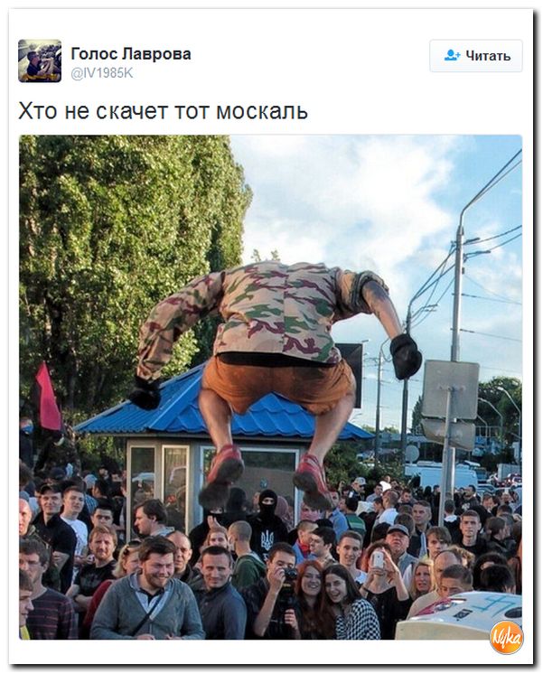 "Мыздобулы" в картинках. Смешных и не очень... 2-11-2016 "Мыздобулы" в картинках. Смешных и не очень... 2-11-2016