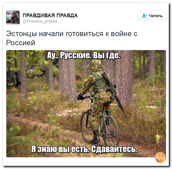 "Мыздобулы" в картинках. Смешных и не очень... 2-11-2016 "Мыздобулы" в картинках. Смешных и не очень... 2-11-2016