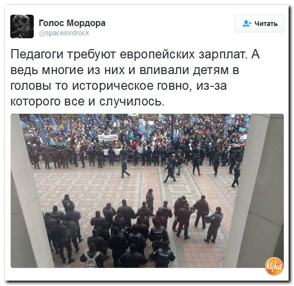 "Мыздобулы" в картинках. Смешных и не очень... 2-11-2016 "Мыздобулы" в картинках. Смешных и не очень... 2-11-2016