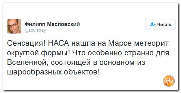 "Мыздобулы" в картинках. Смешных и не очень... 3-11-2016