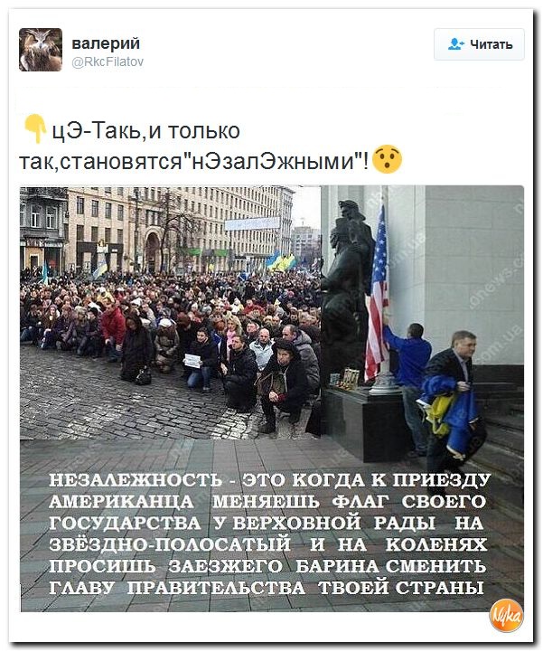 "Мыздобулы" в картинках. Смешных и не очень... 3-11-2016