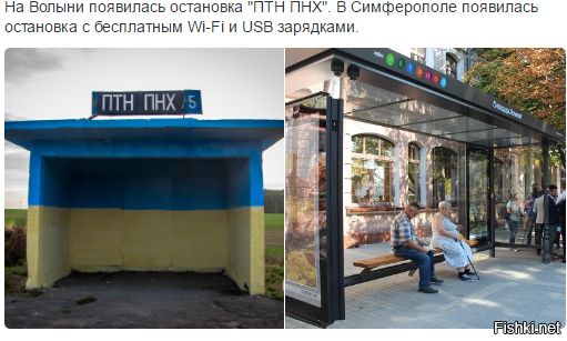 "Мыздобулы" в картинках. Смешных и не очень... 3-11-2016