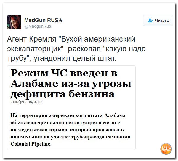 "Мыздобулы" в картинках. Смешных и не очень... 3-11-2016