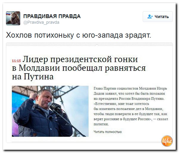 "Мыздобулы" в картинках. Смешных и не очень... 3-11-2016