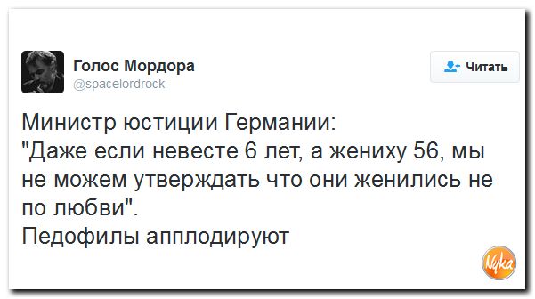 "Мыздобулы" в картинках. Смешных и не очень... 3-11-2016