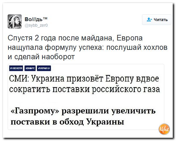 "Мыздобулы" в картинках. Смешных и не очень... 4-11-2016