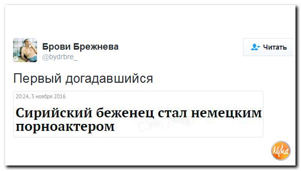 "Мыздобулы" в картинках. Смешных и не очень... 4-11-2016