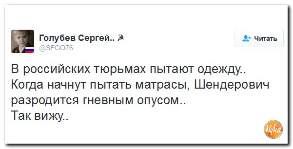 "Мыздобулы" в картинках. Смешных и не очень... 4-11-2016