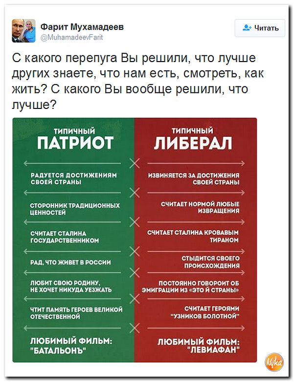 "Мыздобулы" в картинках. Смешных и не очень... 4-11-2016