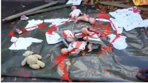 У российского посольства в Дублине разбросали «окровавленных младенцев»