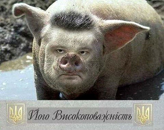 Свинорылые есть ? Да.. Но они все евреи. 