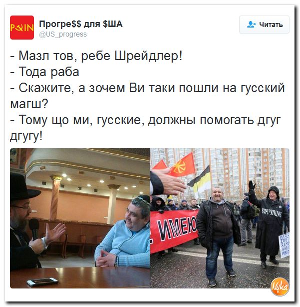 "Мыздобулы" в картинках. Смешных и не очень... 6-11-2016