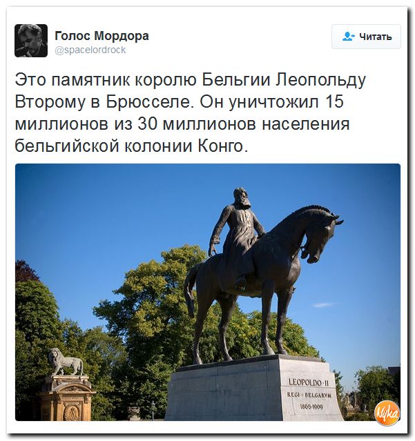 "Мыздобулы" в картинках. Смешных и не очень... 6-11-2016
