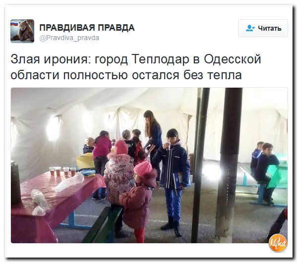 "Мыздобулы" в картинках. Смешных и не очень... 6-11-2016