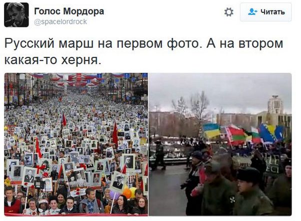 "Мыздобулы" в картинках. Смешных и не очень... 6-11-2016