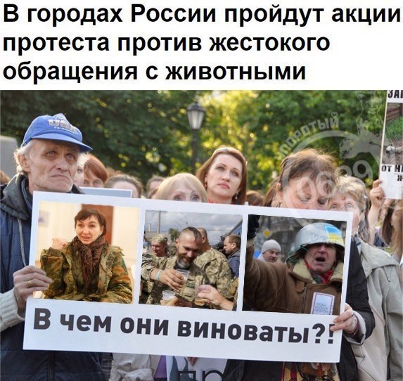 "Мыздобулы" в картинках. Смешных и не очень... 6-11-2016