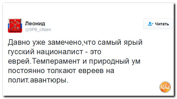 "Мыздобулы" в картинках. Смешных и не очень... 6-11-2016
