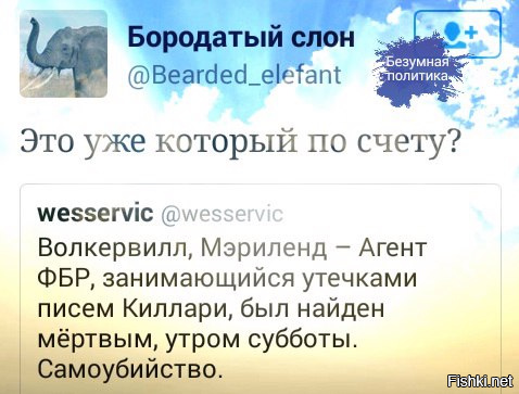 "Мыздобулы" в картинках. Смешных и не очень... 6-11-2016
