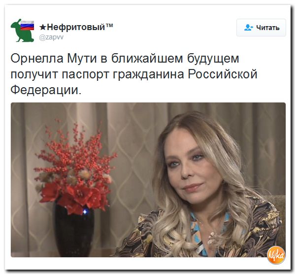 "Мыздобулы" в картинках. Смешных и не очень... 6-11-2016