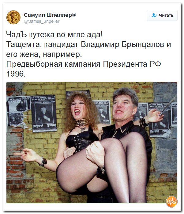 "Мыздобулы" в картинках. Смешных и не очень... 6-11-2016