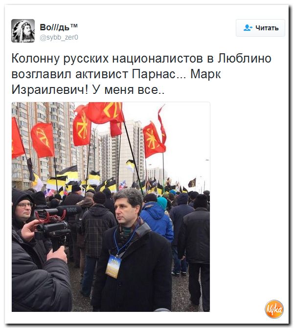 "Мыздобулы" в картинках. Смешных и не очень... 6-11-2016