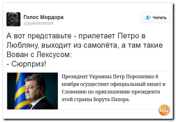 "Мыздобулы" в картинках. Смешных и не очень... 6-11-2016