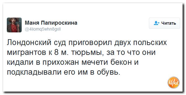 "Мыздобулы" в картинках. Смешных и не очень... 6-11-2016