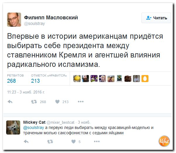 "Мыздобулы" в картинках. Смешных и не очень... 6-11-2016