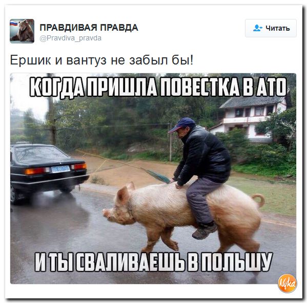 "Мыздобулы" в картинках. Смешных и не очень... 6-11-2016