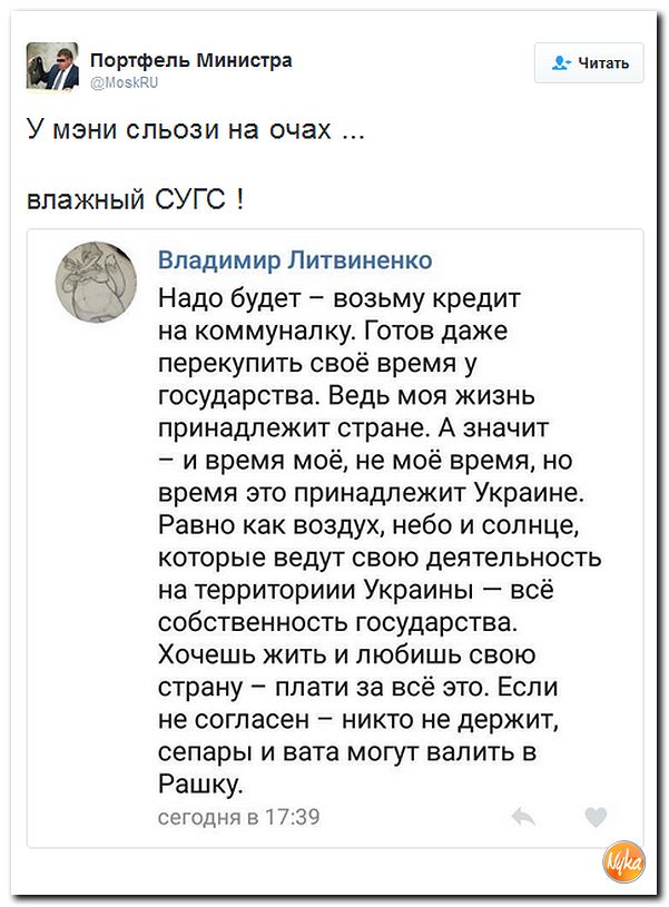 "Мыздобулы" в картинках. Смешных и не очень... 6-11-2016