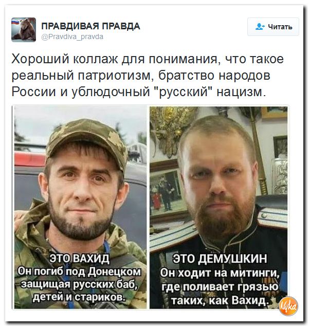 "Мыздобулы" в картинках. Смешных и не очень... 6-11-2016