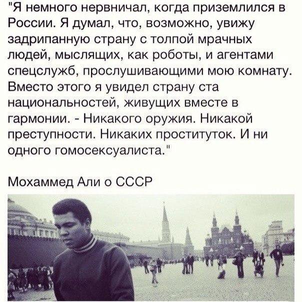 "Мыздобулы" в картинках. Смешных и не очень... 6-11-2016