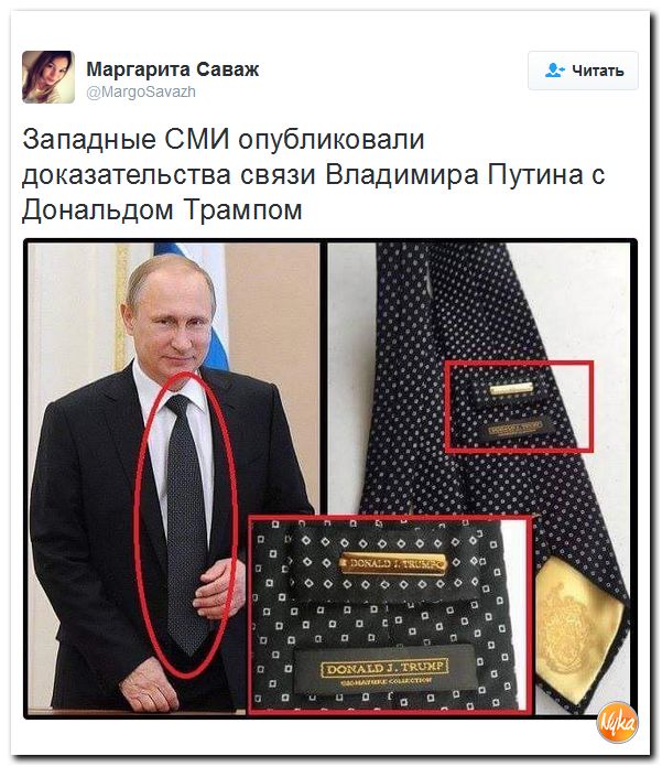 "Мыздобулы" в картинках. Смешных и не очень... 6-11-2016