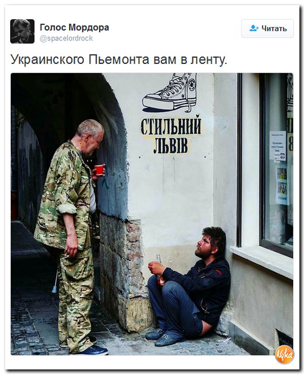 "Мыздобулы" в картинках. Смешных и не очень... 6-11-2016