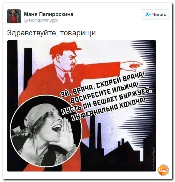 "Мыздобулы" в картинках. Смешных и не очень... 6-11-2016