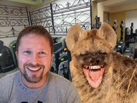 Обычные новости. Анатолий Шарий