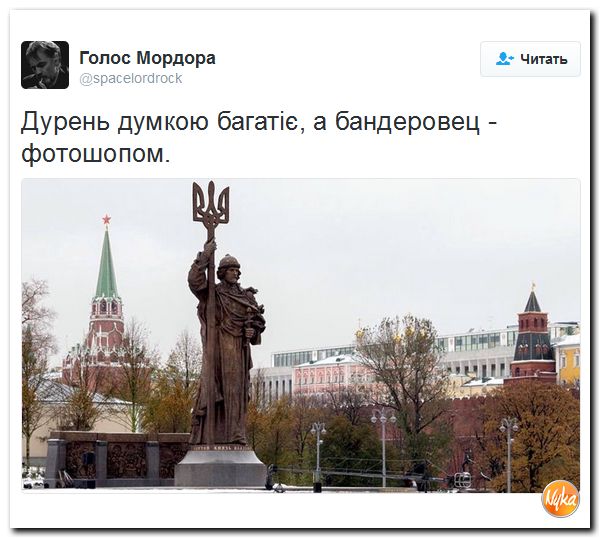 "Мыздобулы" в картинках. Смешных и не очень... 7-11-2016