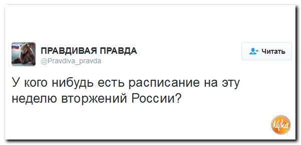 "Мыздобулы" в картинках. Смешных и не очень... 7-11-2016