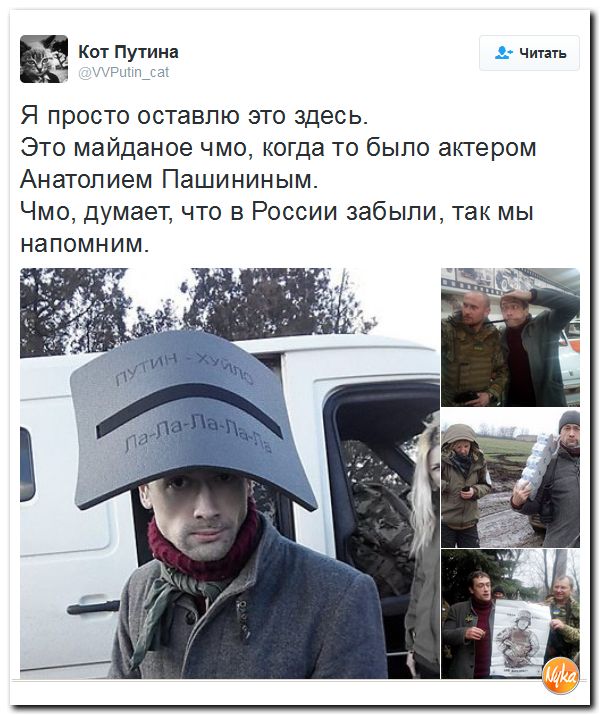 "Мыздобулы" в картинках. Смешных и не очень... 7-11-2016