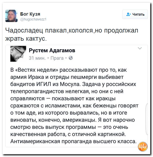 "Мыздобулы" в картинках. Смешных и не очень... 7-11-2016
