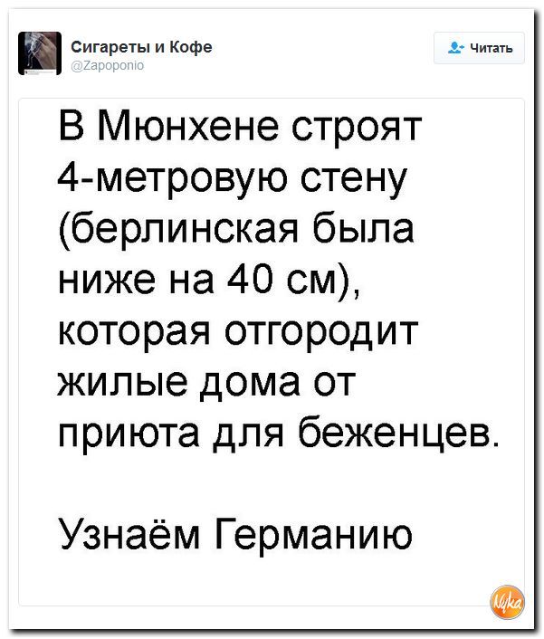 "Мыздобулы" в картинках. Смешных и не очень... 7-11-2016