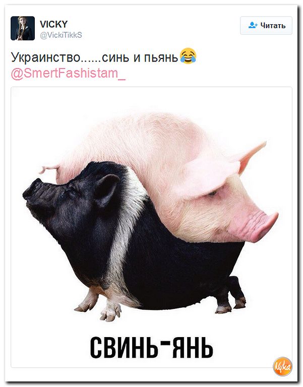 "Мыздобулы" в картинках. Смешных и не очень... 7-11-2016